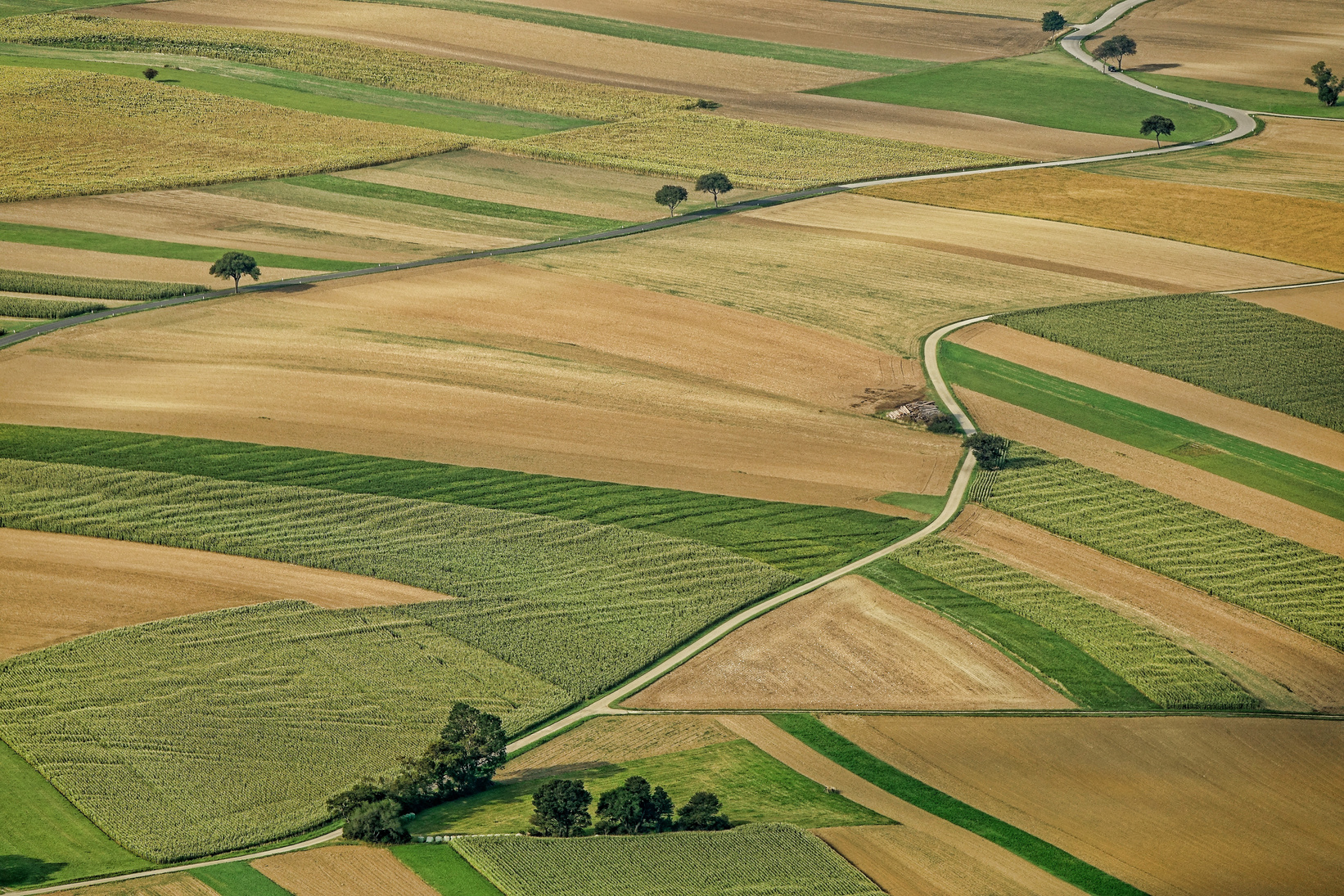 Agriculture Field Landscape